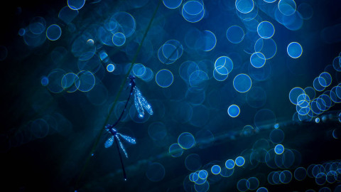 2024_10_19-JvdWielen_R5mk2_9280_LoRes