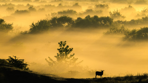 Magic on an island... II