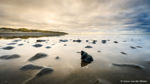 2025_03_01-JvdWielen_R52_3761_LoRes