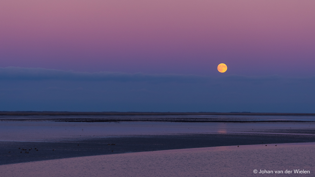 Maan boven het wad