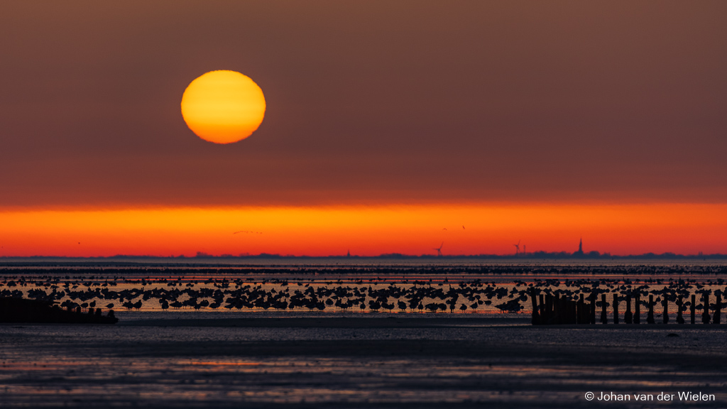 Het ontwaken van de wad...