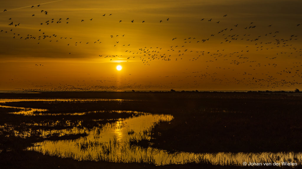 Het ontwaken van Ameland