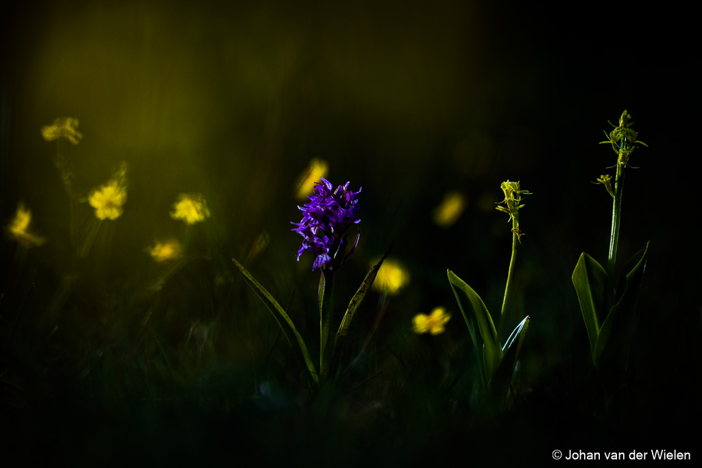 2021_06_27-JvdWielen_JR5_6469_LoRes