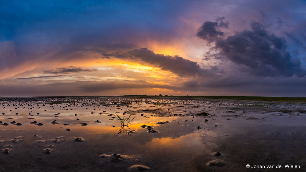 terug op Schiermonnikoog