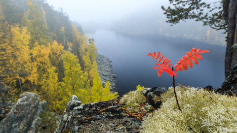 2017_09_25-JvdW5d4_8993_LoRes