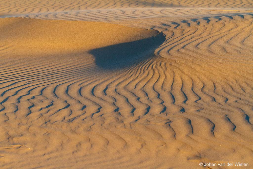 zandribbels; sand ripples