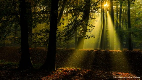 2019_11_10-JvdWielen_5D4_9631_LoRes