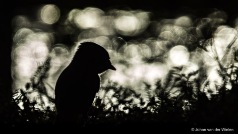 2023_09_25-JvdWielen_JR7_2491_LoRes