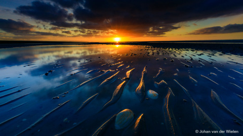 2020_02_28-JvdWielen_5D4_2964_LoRes