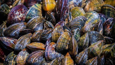 2022_02_28-JvdWielen_JR5_7961_LoRes