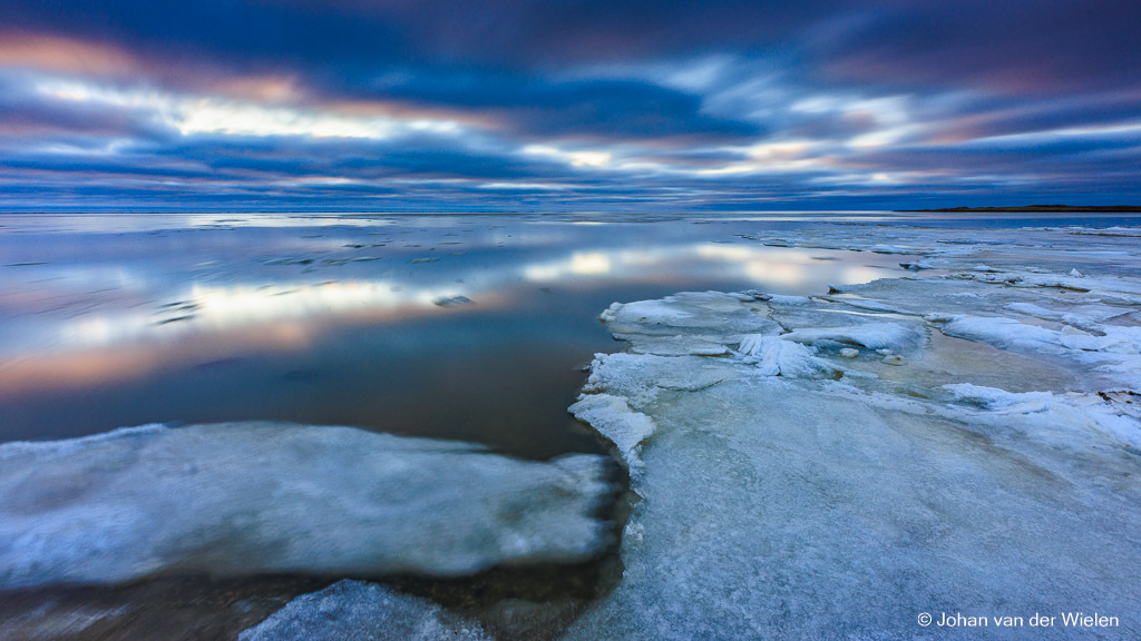 The Arctic Wadden...