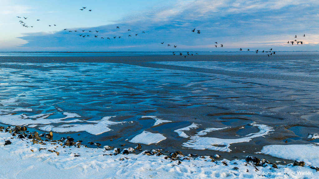 2026_02_19-JvdWielen_R52_2297-Pano-bewerkt_LoRes