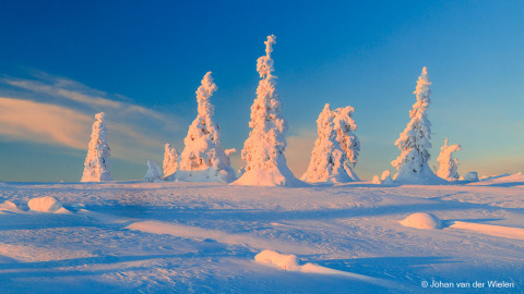 2025_03_16-JvdWielen_R52_4411_LoRes