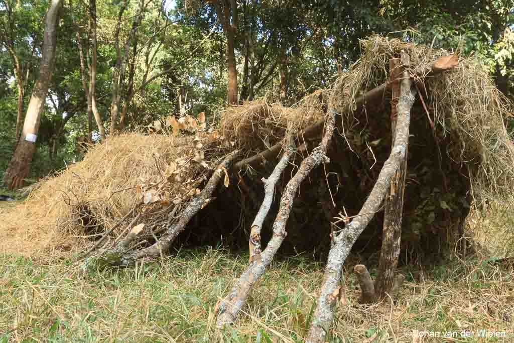 natuurlijke schuilhut; natural shelter