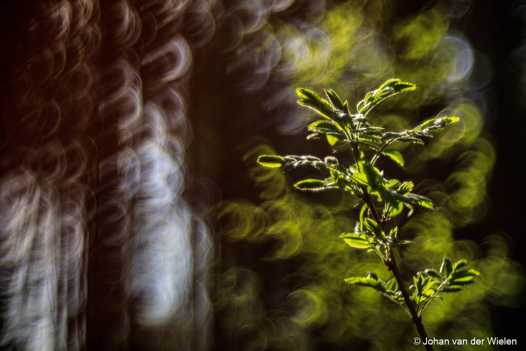 2018_04_18-JvdWielen_5D4_2294_LoRes