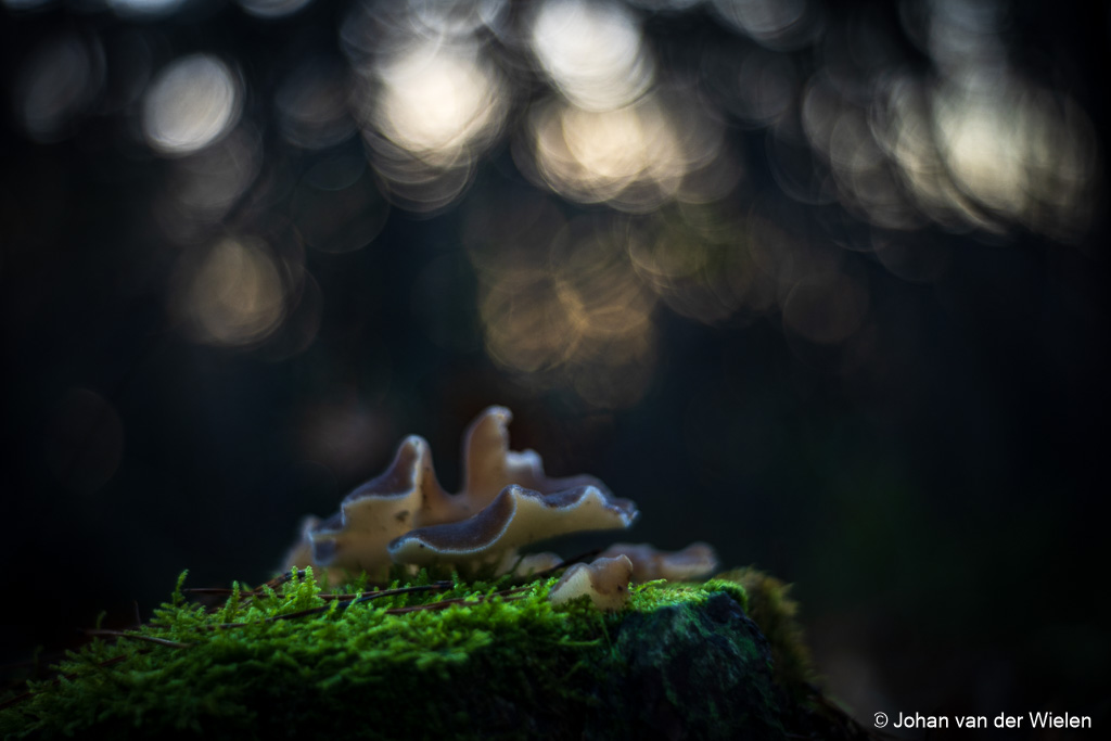 2024_11_28-JvdWielen_R62_0005_LoRes