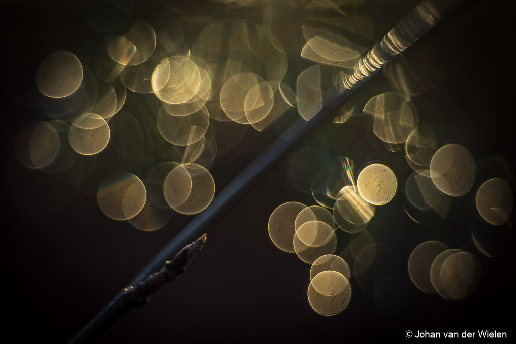 2024_11_28-JvdWielen_R62_0042_LoRes