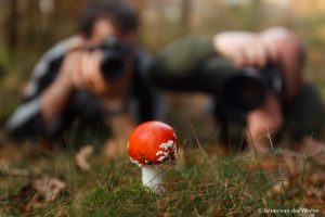 fotograferen van een vliegenzwam