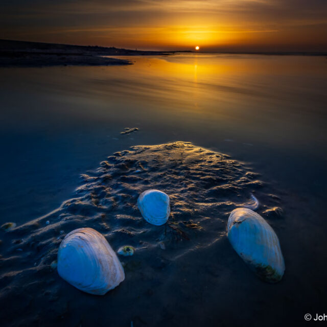 BOEK HIER: ~ Winters Ameland ~ 3 dagen fotografische verdieping