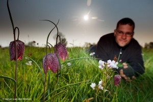 zelfportret bij mijn geliefde kievitsbloemen