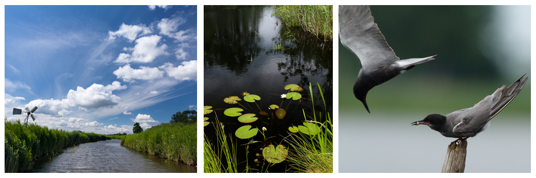 Workshop waterfotografie Boottocht ‘de Wieden’