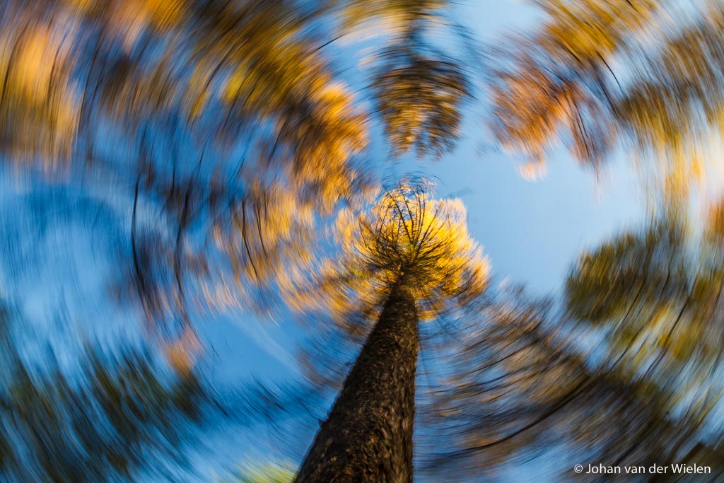 'het wiel', een techniek ontwikkeld door mijn creatieve brein... na afloop van een zeer korte nacht in Finland :-)