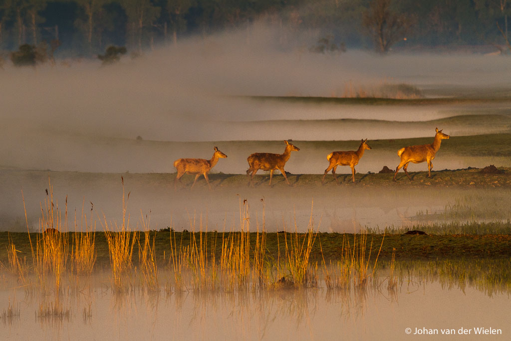 JvdWielen_2014_05_16 I7D_0941