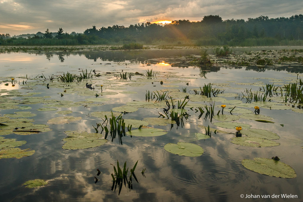 JvdWielen_2015_08_07 JvdW7_8642