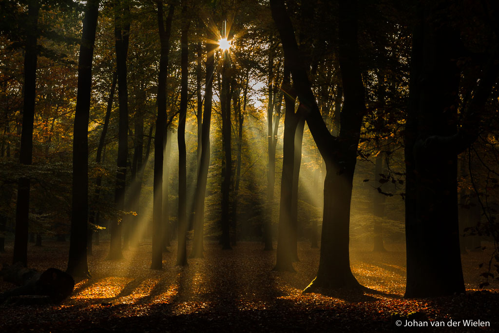 JvdWielen_2015_10_27 JvdW5_2276