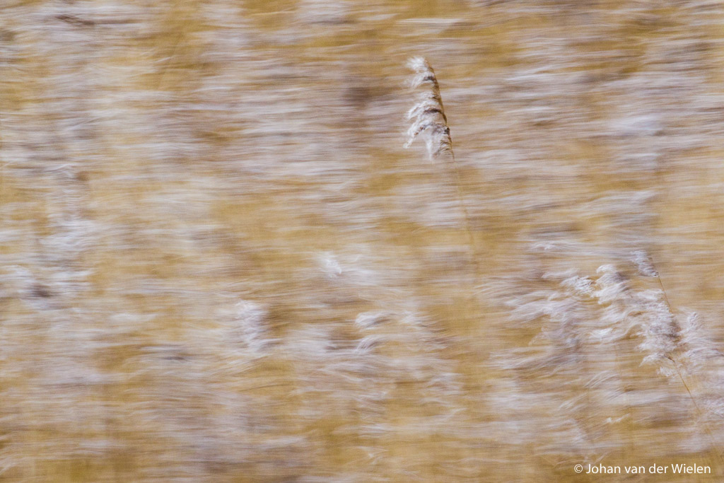 Fotograferen alsof niemand kijkt, je helemaal verliezen in impressie en je verwonderen over de natuur