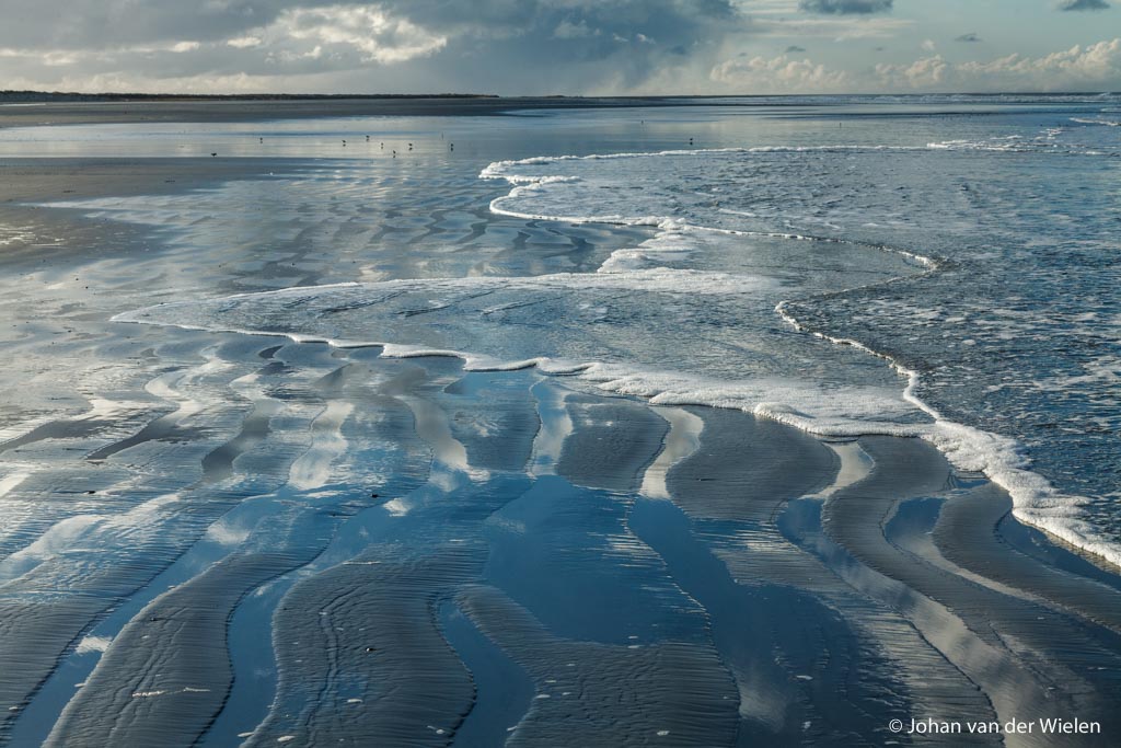 Masterclass natuurfotografie, ontwikkel je visie en stijl of bijt je vast in een onderwerp of boodschap