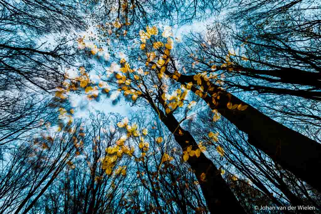24 nov. 2013, herfstimpressie, combinatie van blauwe uurtje, flitslicht, lange sluitertijd en - geluk! - een harde windvlaag