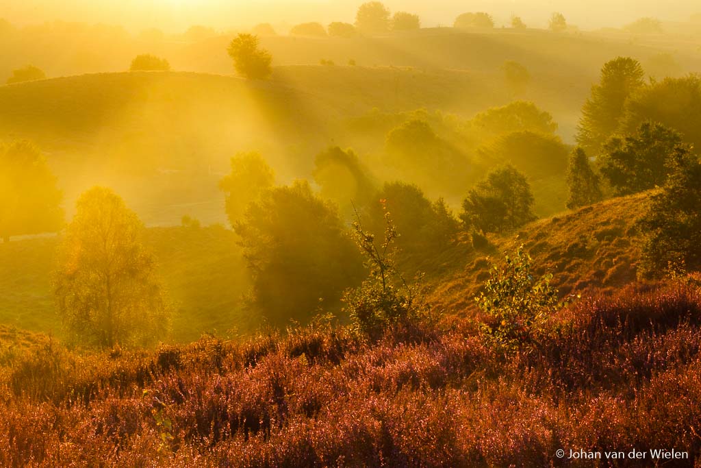 Lezing "Creatieve speurtocht door de Nederlandse natuur" Bij CameraClubWageningen