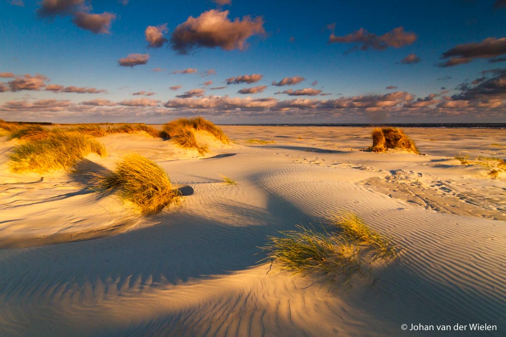 zonsopkomst op het Noorderstrand bij de embryonale duinen... misschien wel het mooiste moment tijdens de workshop!