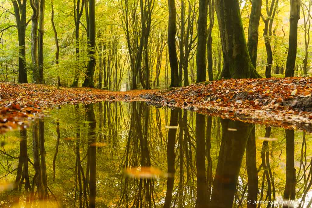 Nog geen zonnestraal te zien maar wel een schitterende plek… het lijkt wel een meer maar in werkelijkheid is het maar een plasje water op het pad