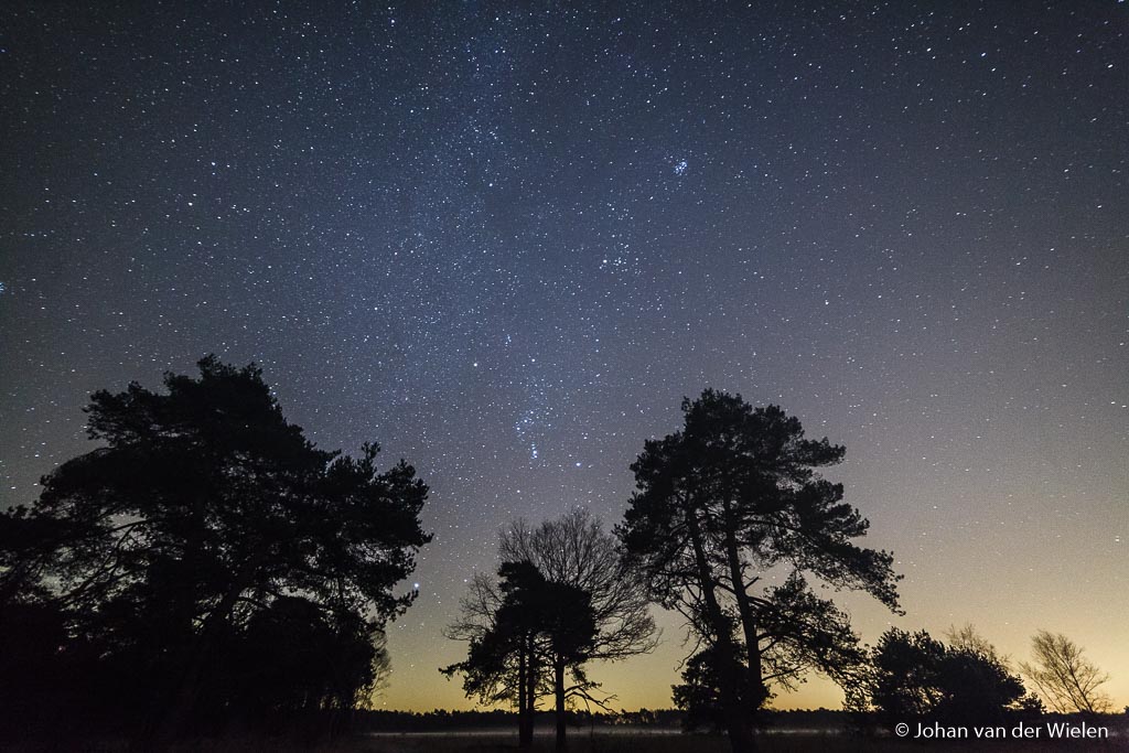 Dinsdag 29-11, 1:09: Orion wordt bijna overstraald door het geweld aan sterren boven de bomen. De Pleïaden stekken dapper af.