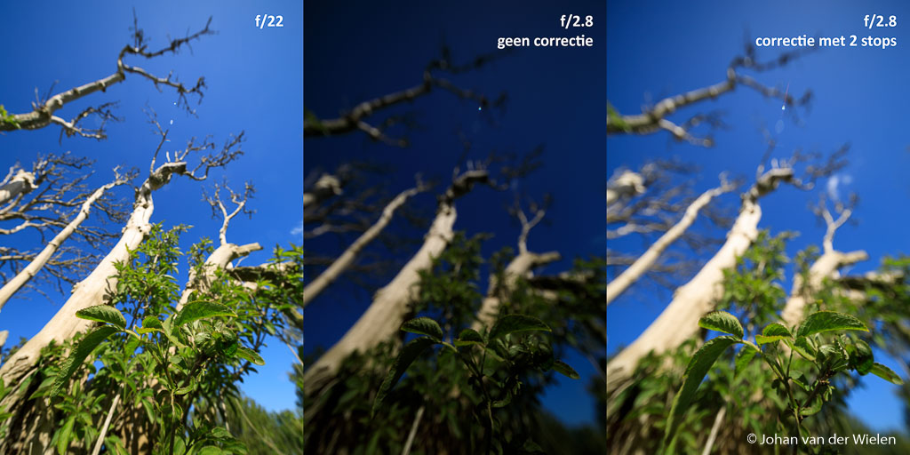 In dit voorbeeld zie je het verschil tussen een foto op f/22 en op f/2.8. Ik begon met f/22 maar moest de camera op -1 2/3 zetten voor goede belichting. Toen ik daarna terugging naar f/2.8 bleek de foto ineens veel te donker (wat ook logisch was gezien de zware onderbelichting). Om de belichting gelijk te krijgen aan f/22 moest ik terug naar +2/3 (dus 2 volle stops verschil!). Dit is best opvallend.