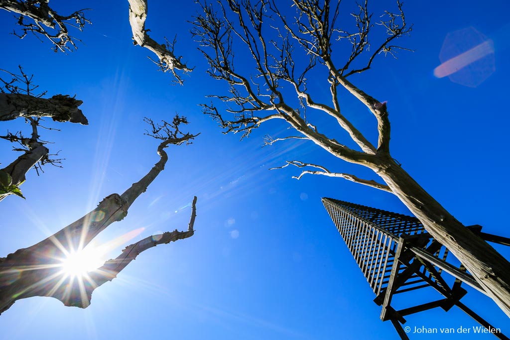 De zon ‘sneakt’ door de bomen het baken van Schiermonnikoog. Met f/22 krijg je dan dat de zon gaat stralen (diffractie). De flare is zeker zichtbaar in de vorm van kleurvlekken en stralen. Let ook op de rode flare rechtsboven.
