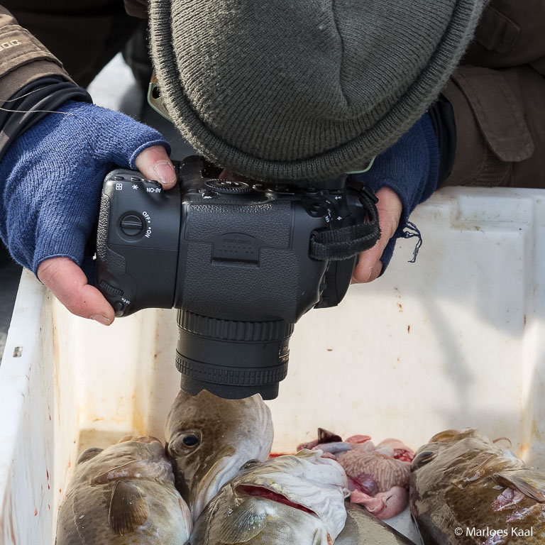 Geen lens geeft zo duidelijk aan wat de bedoeling is als een 'fisheye' lens