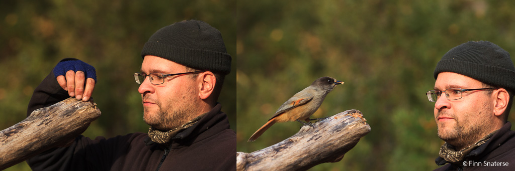 Voorbereiding: zorg ervoor dat je op precies de goede plek het voer legt en dat je voorbereid bent voor als de vogel komt!