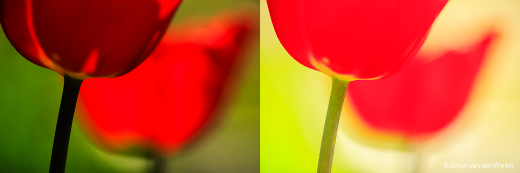 Zelfde verschilfoto (ISO100, f/3.5) maar nu met tulpen. Links zonder paraplu (1/1000) en rechts met paraplu (1/125) om het harde zonlicht tegen te houden.