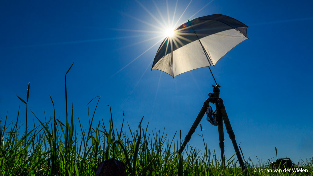 faillissement bezig nietig witte paraplu - Johan van der Wielen ~ Nature Photography