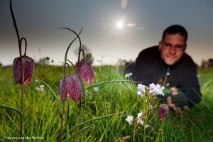 zelfportret bij mijn geliefde kievitsbloemen