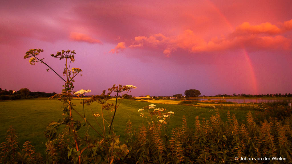 Korte fototip #11:Drama in de natuur