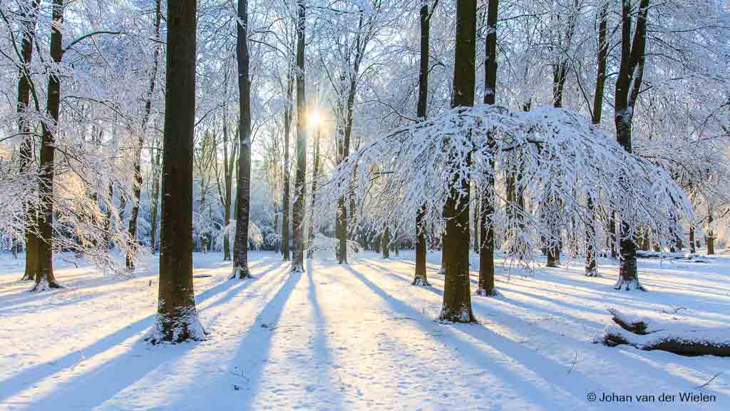 Korte fototip #16:Belicht over bij sneeuw