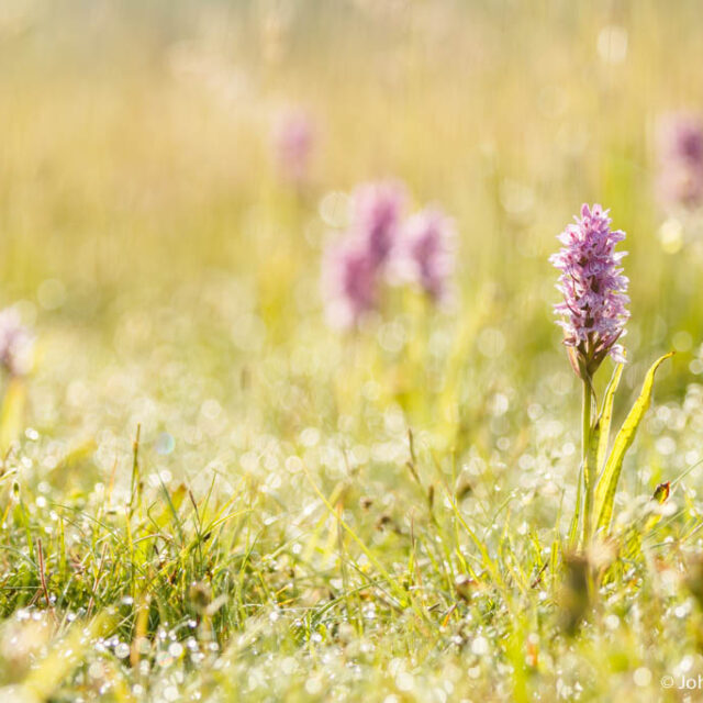 ~ Verborgen geheimen ~ 3 dagen Schiermonnikoog