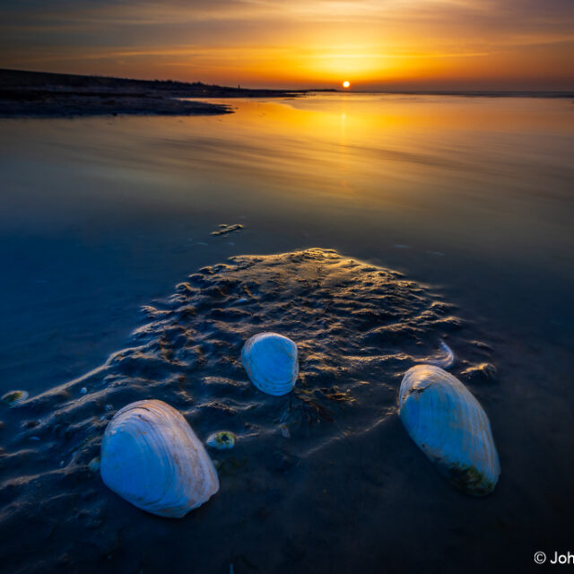 ~ Winters Ameland ~ 3 dagen fotografische verdieping 2027